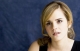 Filename=002.jpg
Filesize=52KB
Dimensions=512x329
Date added=Dec 19, 2008 002.jpg