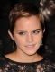 Filename=001 (31).jpg
Filesize=586KB
Dimensions=1532x2000
Date added=Dec 03, 2010 001 (31).jpg