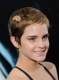 Filename=HPNYC01 (92).jpg
Filesize=208KB
Dimensions=1345x1800
Date added=Nov 16, 2010 HPNYC01 (92).jpg