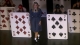 ballet_shoes_caps_(292).jpg