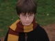 hp_caps01_(234).jpg
