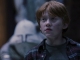 hp_caps01_(356).jpg